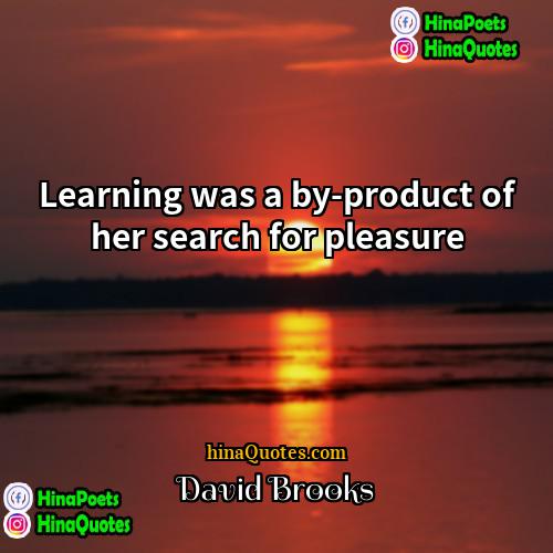 David Brooks Quotes | Learning was a by-product of her search